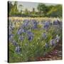 Above the Blue Irises-Timothy Easton-Stretched Canvas