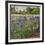 Above the Blue Irises-Timothy Easton-Framed Giclee Print