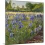 Above the Blue Irises-Timothy Easton-Mounted Giclee Print