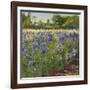 Above the Blue Irises-Timothy Easton-Framed Giclee Print