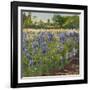 Above the Blue Irises-Timothy Easton-Framed Giclee Print