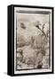 Above the Forest, Guatemala-Theo Westenberger-Framed Stretched Canvas