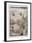 Above the Forest, Guatemala-Theo Westenberger-Framed Photographic Print