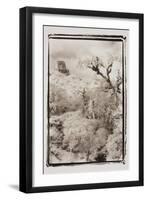 Above the Forest, Guatemala-Theo Westenberger-Framed Photographic Print