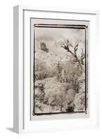 Above the Forest, Guatemala-Theo Westenberger-Framed Photographic Print