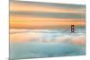 Above The Golden Gate Sunrise Fog, San Francisco-Vincent James-Mounted Photographic Print