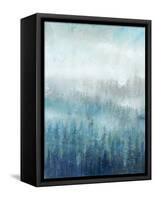 Above the Mist I-Tim O'toole-Framed Stretched Canvas