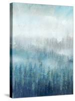 Above the Mist I-Tim O'toole-Stretched Canvas