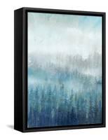 Above the Mist I-Tim O'toole-Framed Stretched Canvas