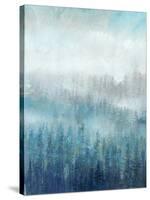 Above the Mist I-Tim O'toole-Stretched Canvas