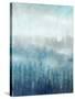 Above the Mist I-Tim OToole-Stretched Canvas