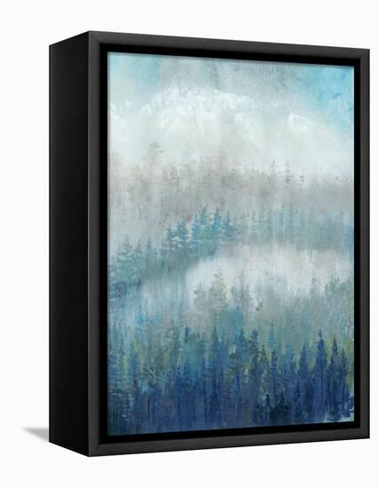 Above the Mist II-Tim O'toole-Framed Stretched Canvas