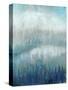 Above the Mist II-Tim O'toole-Stretched Canvas