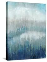 Above the Mist II-Tim O'toole-Stretched Canvas