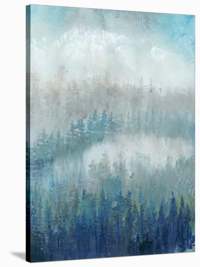 Above the Mist II-Tim O'toole-Stretched Canvas