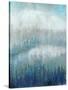 Above the Mist II-Tim O'toole-Stretched Canvas