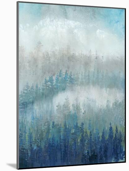 Above the Mist II-Tim O'toole-Mounted Art Print