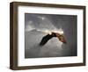 Above the Storm Bald Eagle-Jai Johnson-Framed Premium Giclee Print