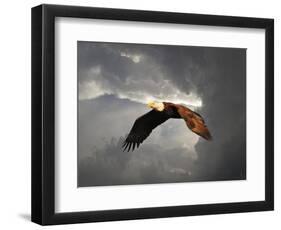 Above the Storm Bald Eagle-Jai Johnson-Framed Premium Giclee Print