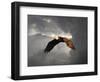 Above the Storm Bald Eagle-Jai Johnson-Framed Premium Giclee Print