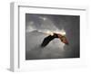 Above the Storm Bald Eagle-Jai Johnson-Framed Premium Giclee Print