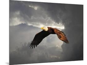 Above the Storm Bald Eagle-Jai Johnson-Mounted Giclee Print