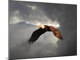 Above the Storm Bald Eagle-Jai Johnson-Mounted Giclee Print