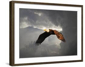 Above the Storm Bald Eagle-Jai Johnson-Framed Giclee Print