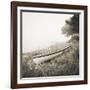 Above the Tide-Michael Kahn-Framed Giclee Print