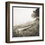 Above the Tide-Michael Kahn-Framed Art Print