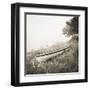 Above the Tide-Michael Kahn-Framed Art Print