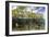 Above Water and Below Water View of Mangrove with Juvenile Snapper and Jack-James White-Framed Photographic Print