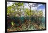 Above Water and Below Water View of Mangrove with Juvenile Snapper and Jack-James White-Framed Photographic Print