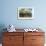 Above Water and Below Water View of Mangrove with Juvenile Snapper and Jack-James White-Framed Photographic Print displayed on a wall