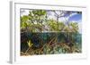 Above Water and Below Water View of Mangrove with Juvenile Snapper and Jack-James White-Framed Photographic Print