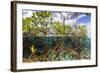 Above Water and Below Water View of Mangrove with Juvenile Snapper and Jack-James White-Framed Photographic Print