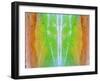 Above-Ata Alishahi-Framed Giclee Print