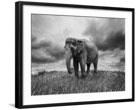 Premium Photographic Print, , large