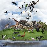 Nature Collage with  Wild Animals and Birds-abracadabra99-Photographic Print