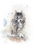 Watercolor Digital Painting of   Perching Owl-abracadabra99-Photographic Print