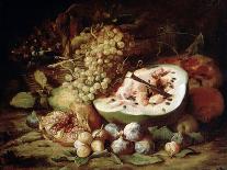 Still Life of Fruit and Flowers, 1670-80 (Oil on Canvas)-Abraham Brueghel-Giclee Print