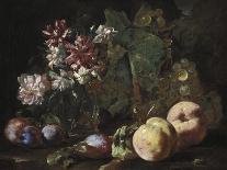 Feast of Fruits and Flowers-Abraham Brueghel-Framed Giclee Print