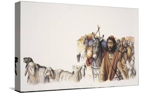 Stretched Canvas Print, , large