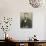 Abraham Lincoln by Alexander Gardner-null-Photographic Print displayed on a wall