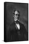 Abraham Lincoln, Lawyer-T Johnson-Framed Stretched Canvas