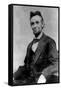 Abraham Lincoln Portrait Taken During Lincoln's Last Photography Sitting-null-Framed Stretched Canvas