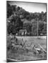 Abraham Lincoln's Childhood Home with a Rail Fence That He Built-Ralph Crane-Mounted Photographic Print