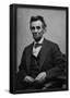 Abraham Lincoln Seated by Alexander Gardner Archival Photo Poster Print-null-Framed Poster