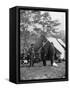 Abraham Lincoln with Allan Pinkerton and Major General John A. McClernand, 1862-Alexander Gardner-Framed Stretched Canvas