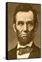 Abraham Lincoln-null-Framed Stretched Canvas